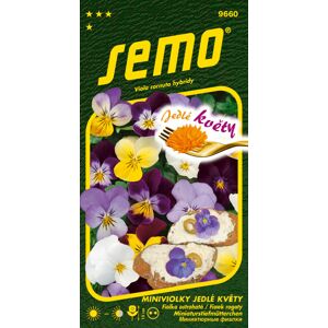 SEMO Miniviolka Jedlé květy